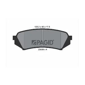 PAGID T1243