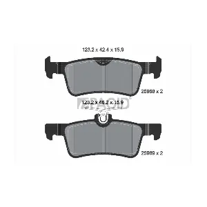 PAGID T2392
