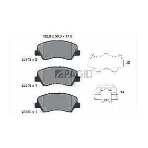 PAGID T2181