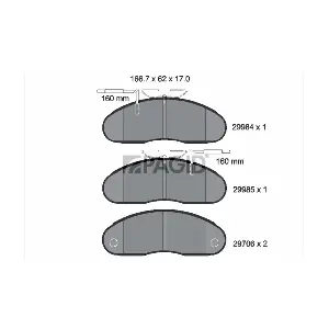 PAGID C 3004