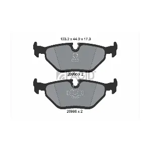 PAGID T1027