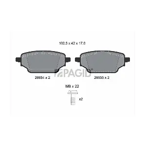 T4224 PAGID