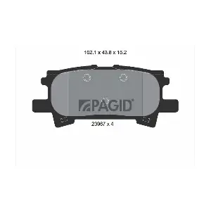 PAGID T 1379