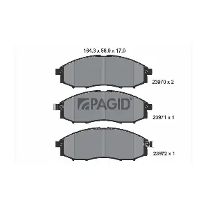 PAGID T1384