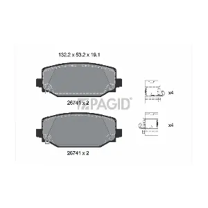 T4299N PAGID