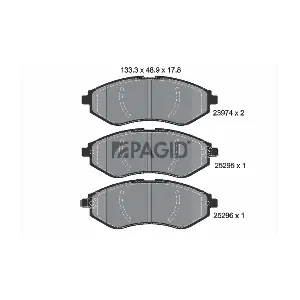 PAGID T3137