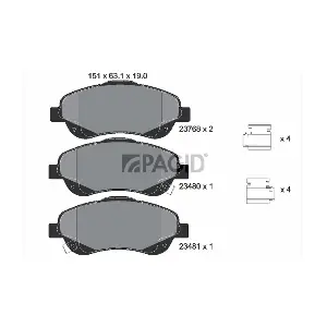 PAGID T3129