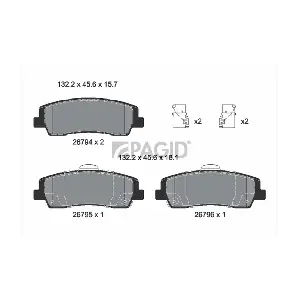 T4298N PAGID