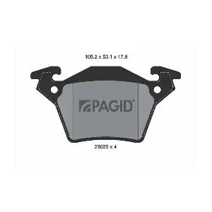 PAGID T1169