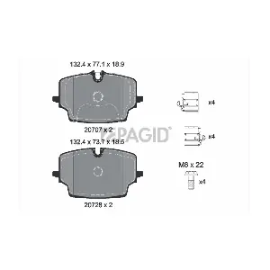 T4305 PAGID
