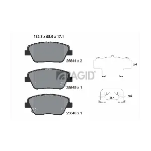 PAGID T2209