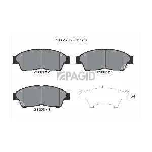 PAGID T 3013