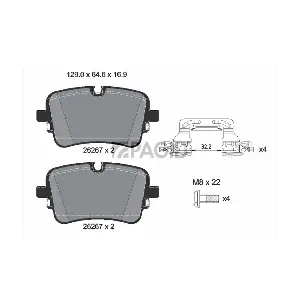 T2891N PAGID