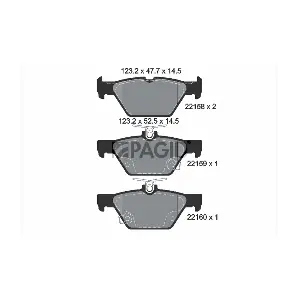 PAGID T2492N