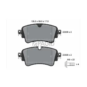 PAGID T2528