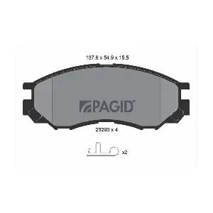 PAGID T3123