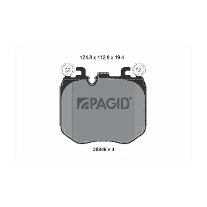 T4308 PAGID
