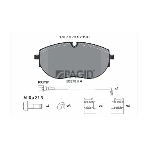 T2894 PAGID