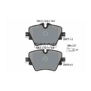 PAGID T2434