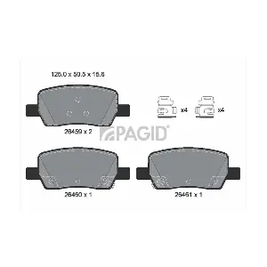 PAGID T2937