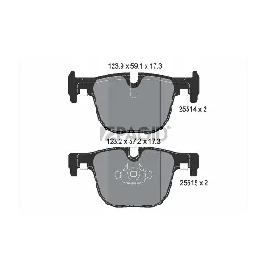 PAGID T2165