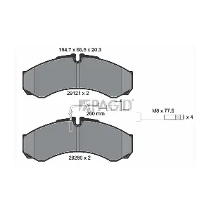 PAGID C4077