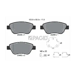 T2263N PAGID