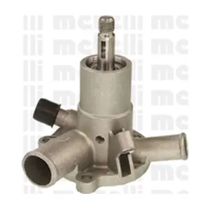 240154 METELLI