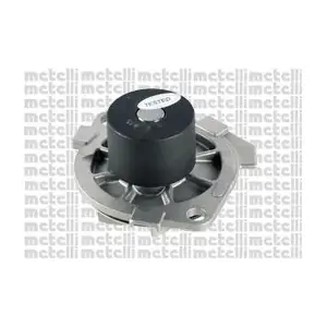 METELLI 240615