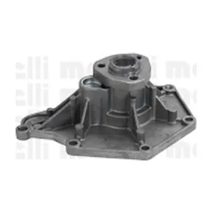 24-1050 METELLI