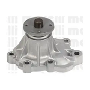 24-0771 METELLI