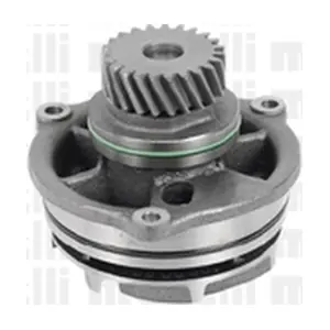 24-0850 METELLI