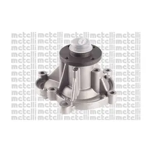 241109 METELLI