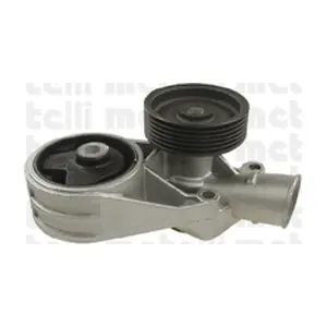 24-0691 METELLI