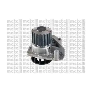 24-1249 METELLI
