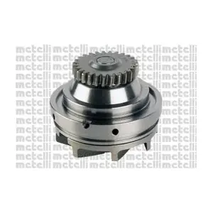 24-1343 METELLI