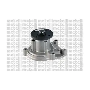 24-1179 METELLI