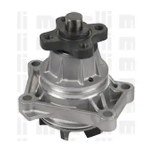 24-1036 METELLI