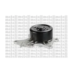 24-1132 METELLI