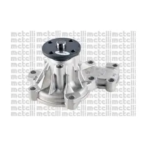 METELLI 24-1209