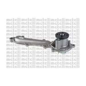 24-1142 METELLI