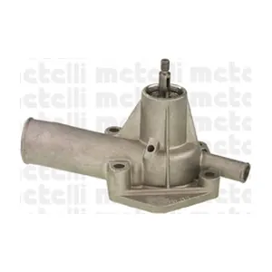 24-0316 METELLI