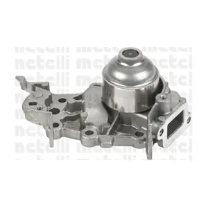 METELLI 240820