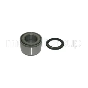 19-2861 METELLI