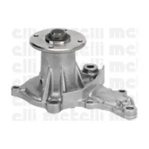 24-1005 METELLI