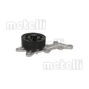 24-1433 METELLI