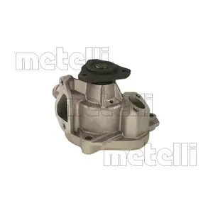 24-0319 METELLI