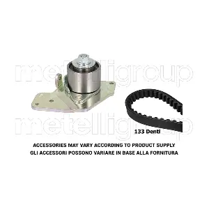 29-0054 METELLI