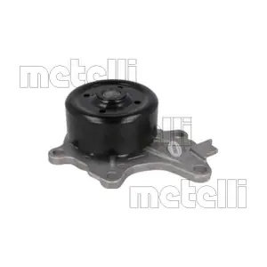 24-1427 METELLI