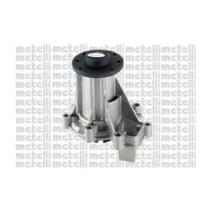24-1261 METELLI